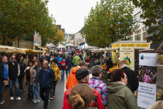 Katharinenmarkt in Hachenburg: �ber 200 St�nde und 500 Jahre Markttradition