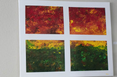 Mit Farben gegen Barrieren: Die inspirierende Kunst von Kim Keller