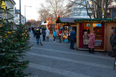 Weihnachtsbaumverkauf auf dem Neuwieder Knuspermarkt