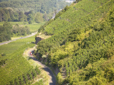 Exkursion der Lokalen Aktionsgruppe Rhein-Ahr am 9. Oktober 2025