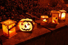 Martinsumzge 2025 im Kreis Neuwied im berblick