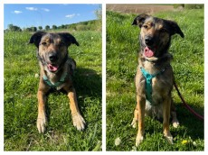 Melody auf der Suche nach Geborgenheit