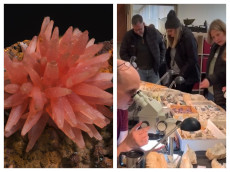 Faszinierende Vielfalt: Mineralientag im Bergbaumuseum Herdorf-Sassenroth