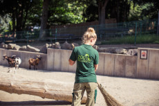 Ein Jahr f�r Umweltbildung und Artenschutz im Zoo Neuwied