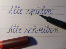 Nicole nrgelt  ber die Abschaffung der Schreibschrift