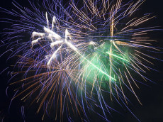 Nicole n�rgelt . . . �ber sinnlose B�llerei und ihre Folgen