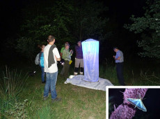 Faszinierende Sommerexkursionen im Asbacher Land