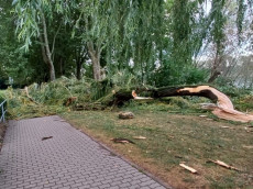 Unwetter in Neuwied: Servicebetriebe werden tagelang aufr�umen