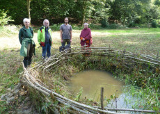 Naturtage beim Kloster Hassel verbinden Biotoppflege und Waldwissen