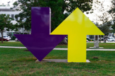 Parteienlandschaft im Wandel: Mitgliederzahlen in Rheinland-Pfalz ver�ndern sich