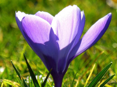 Sonnige Tage und frostige N�chte in Rheinland-Pfalz erwartet