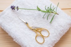 Finanzspritze f�r Geburtsklinik in Kirchen: 385.000 Euro zur Unterst�tzung