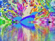 Spannung in Altenkirchen: Wer wird die neue Karnevals-Tollitt?