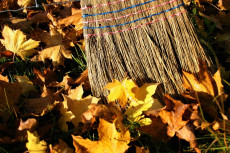 Herbstlaub: Wer ist verantwortlich und wie wird es richtig entsorgt?