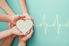 Einblicke in die Hospizarbeit: Untersttzung fr Familien im Westerwald