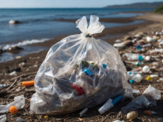 Gemeinsame Aktion f�r saubere Ufer: Rhine-Clean-Up in Unkel