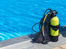 Kostenloses Schnuppertauchen in Neuwied: Ein Blick in die Unterwasserwelt