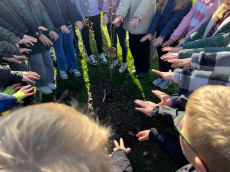 Neue B�ume f�r Hamm (Sieg): Eine Initiative setzt gr�ne Akzente