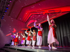 Buntes Miteinander: Multi-Kulti-Fest in Hhr-Grenzhausen begeistert