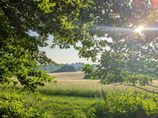 Abendwanderung im Westerwald: Entdeckungstour zu Quellen und B�chen