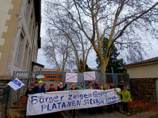 Protest gegen Baumf�llung an der Geschwister-Scholl-Schule: B�rger fordern Erhalt der Platanen