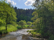 Gef�hrte Radwanderung durch die Kroppacher Schweiz zur Nisterm�ndung
