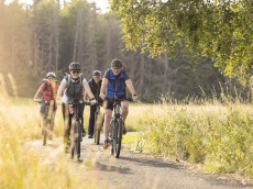 Gef�hrte E-Bike Touren rund um Bad Marienberg
