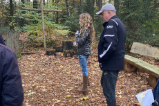 Ruheforst Bad Hnningen - Ein Ort der stillen Einkehr