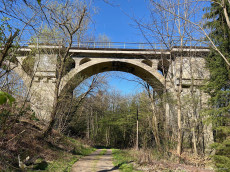 Die Alte Eisenbahnbrcke bei Nistertal: Monument aus Beton und Geschichte