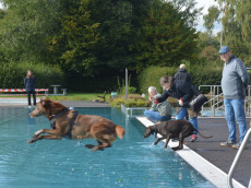 Hundeschwimmen in Urbach: ein Paradies f�r Vierbeiner