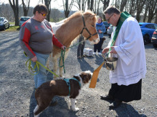 Zweite Tiersegnung in Herschbach fand regen Zuspruch 
