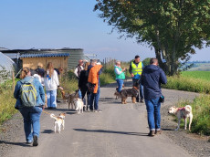 Herzliche Einladung zur "Himmlischen Wanderung" mit und ohne Hund 