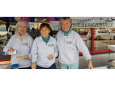 Welttierschutztag in Bad Honnef: Tierschutz Siebengebirge ldt ein