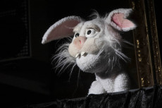 Waldbreitbach: Wo Hase und Ratte sich gute Nacht sagen