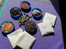 Tauschb�rse f�r Gartenfreunde: Samen und Wissen in Altenkirchen teilen