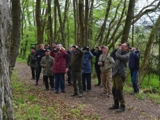 Fr�haufsteher erleben Vogelkonzert bei Elz