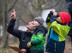 Stunde der Wintervgel 2025: Deutschlands grte Vogelzhlung startet wieder