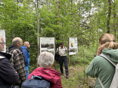 W�lder im Wandel: Einblicke beim Forum Wald und Gesellschaft