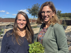 Wildblumenwelt in Irmtraut: Artenvielfalt mit Leidenschaft
