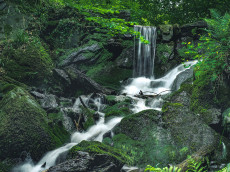 Geheimtipp Laubacher Wasserfall bei Rengsdorf: Naturschauspiel im Laubachtal