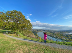 Rotbckchen-Rundwanderweg Unkel: Genussvolle Runde zwischen Rhein und Wein