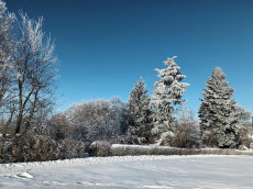 Auf Entdeckungstour im Winterwald rund um Neuh�usel