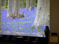 Kraftquelle Wald: Ein Abend voller Sinneserfahrungen im Hachenburger Cinexx