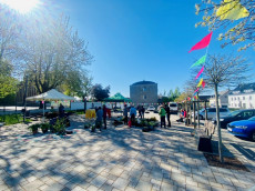 Pflanzentauschb�rse in H�hr-Grenzhausen: Treffpunkt f�r Gartenfreunde