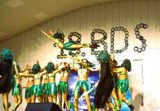 Herschbach wird zur Tanzmetropole: Der 19. Ball der Garde- und Schautnze begeistert