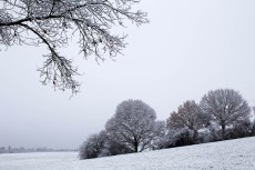 Westerwaldwetter: Erst Frost, am Sonntag Temperatursprung