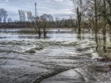 Hochwasser- und Starkregenvorsorge: B�rger im Wisserland werden informiert