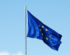 Europawahl am 9. Juni: Ohne Benachrichtigungskarte w�hlen - geht das?