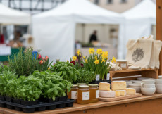 Weyerbuscher Fr�hlingsmarkt 2026: Regionaler Treffpunkt f�r die ganze Familie