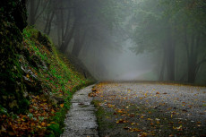 Mildes Herbstwetter mit Regen in Rheinland-Pfalz erwartet